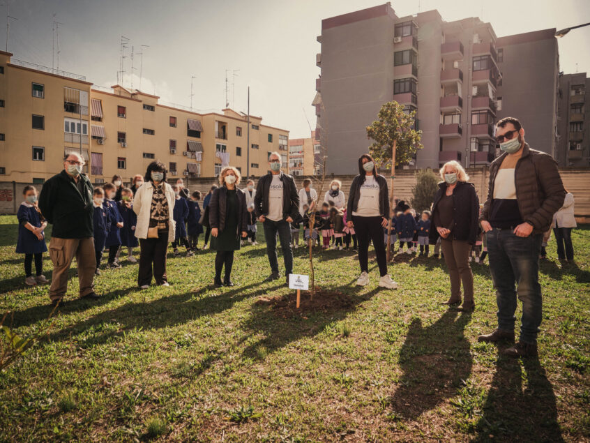 Giornata dell'albero 2020